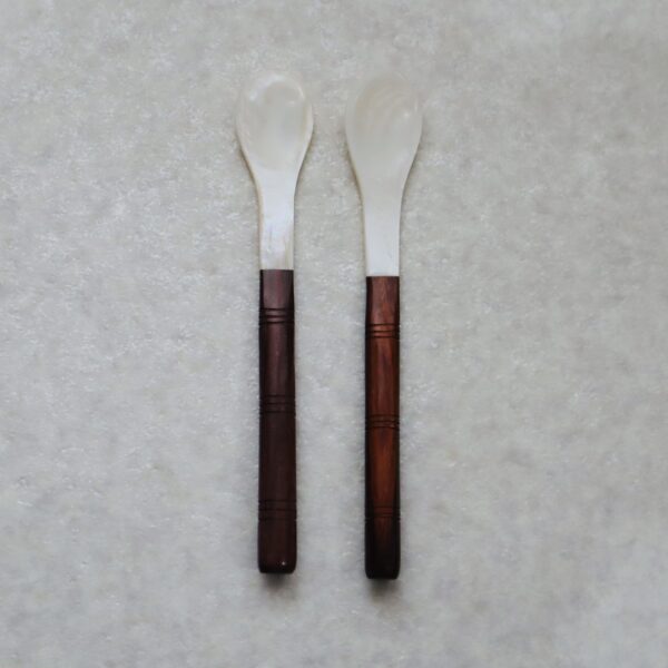 IMG_3340 Shell Spoon -シェルスプーン 2本セット-